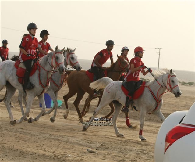 2009HMTheKingofBahra#A0143