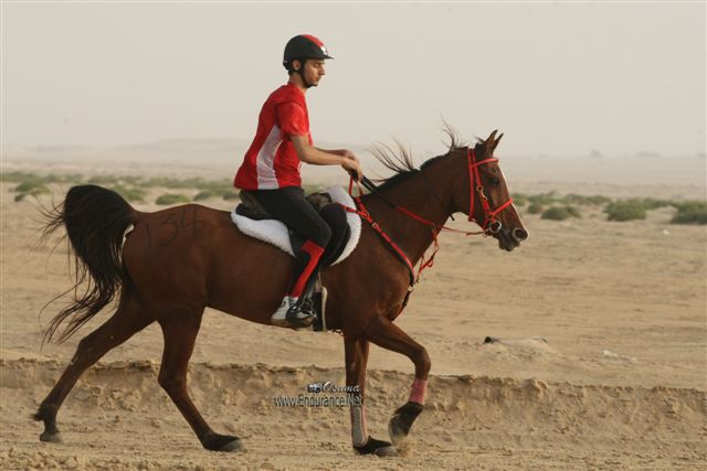 2009HMTheKingofBahra#A0146