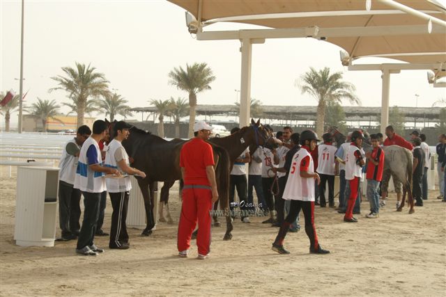 2009HMTheKingofBahra#A0162