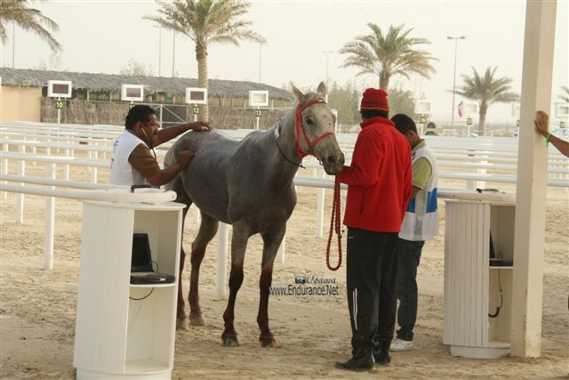 2009HMTheKingofBahra#A0163