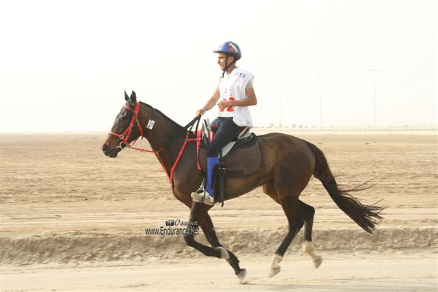 2009HMTheKingofBahra#A0169
