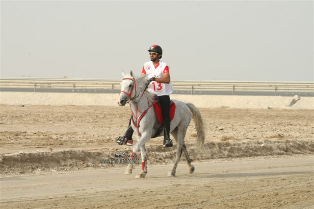 2009HMTheKingofBahra#A0172