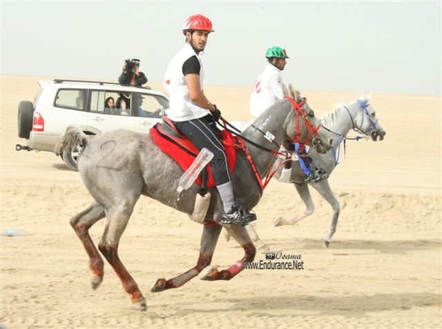 2009HMTheKingofBahra#A0174
