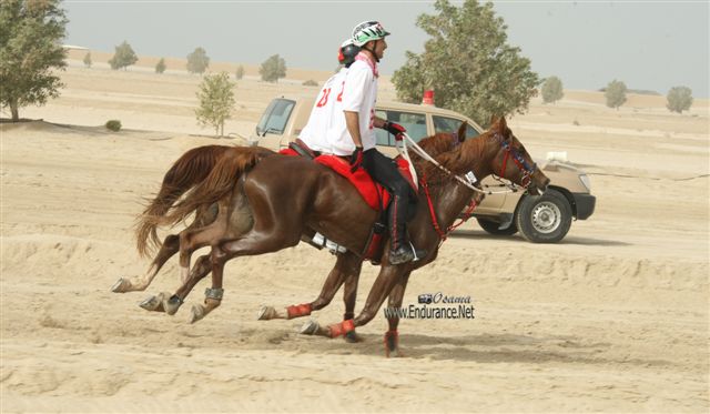 2009HMTheKingofBahra#A0176