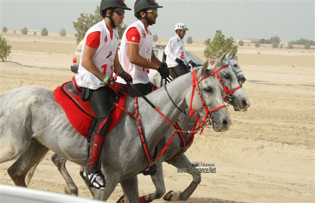 2009HMTheKingofBahra#A0177