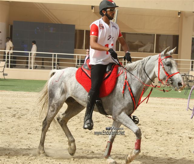 2009HMTheKingofBahra#A0183