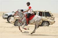 international/Bahrain/2009HMTheKingsEnduranceCup/gallery/osama/thumbnails/2009HMTheKingofBahra%23A0027.jpg