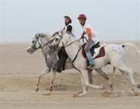 2009HMTheKingofBahra#A0107
