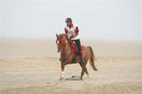 2009HMTheKingofBahra#A0119