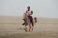 2009HMTheKingofBahra#A0121