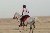 international/Bahrain/2009HMTheKingsEnduranceCup/gallery/osama/thumbnails/2009HMTheKingofBahra%23A0128.jpg