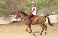 2009HMTheKingofBahra#A0129