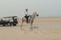 2009HMTheKingofBahra#A0133