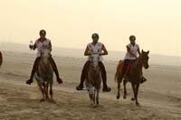 2009HMTheKingofBahra#A0135