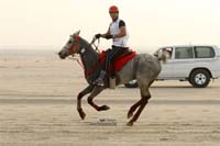 2009HMTheKingofBahra#A0138