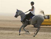 2009HMTheKingofBahra#A0139
