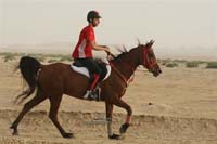 2009HMTheKingofBahra#A0146