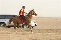 2009HMTheKingofBahra#A0147