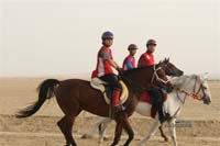 2009HMTheKingofBahra#A0149