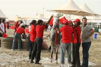 2009HMTheKingofBahra#A0160
