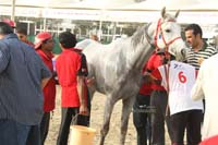 2009HMTheKingofBahra#A0161