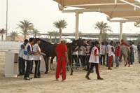 2009HMTheKingofBahra#A0162