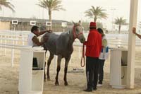 2009HMTheKingofBahra#A0163