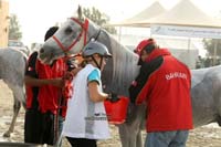 2009HMTheKingofBahra#A0165