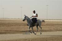 2009HMTheKingofBahra#A0166