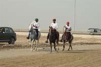 2009HMTheKingofBahra#A0167