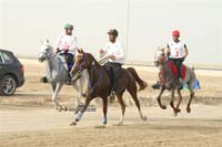2009HMTheKingofBahra#A0168