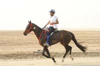 2009HMTheKingofBahra#A0169