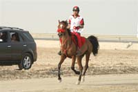 2009HMTheKingofBahra#A0170