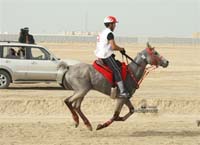 2009HMTheKingofBahra#A0175