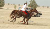 2009HMTheKingofBahra#A0176