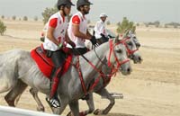 2009HMTheKingofBahra#A0177
