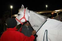 international/Bahrain/2009NationalGuard/gallery/Osama/thumbnails/OSM31528.jpg