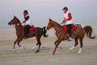 international/Bahrain/2009NationalGuard/gallery/Osama/thumbnails/USAM3717.jpg