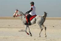 international/Bahrain/2009NationalGuard/gallery/Osama/thumbnails/USAM4113.jpg