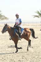 international/Bahrain/2009NationalGuard/gallery/Osama/thumbnails/USAM4349.jpg