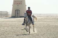 international/Bahrain/2009NationalGuard/gallery/Osama/thumbnails/USAM4394.jpg