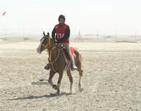 international/Bahrain/2009NationalGuard/gallery/Osama/thumbnails/USAM4400.jpg
