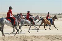 international/Bahrain/2009NationalGuard/gallery/Osama/thumbnails/USAM4480.jpg