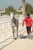 international/Bahrain/2009NationalGuard/gallery/Osama/thumbnails/USAM4496.jpg