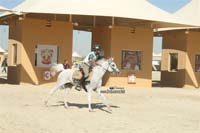 international/Bahrain/2009NationalGuard/gallery/Osama/thumbnails/USAM4588.jpg
