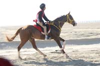 international/Bahrain/2009NationalGuard/gallery/Osama/thumbnails/USAM4971.jpg