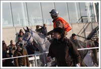 Mons_0842