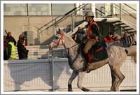 Mons_1292
