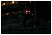 Mons_1298