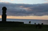 IMG_8294